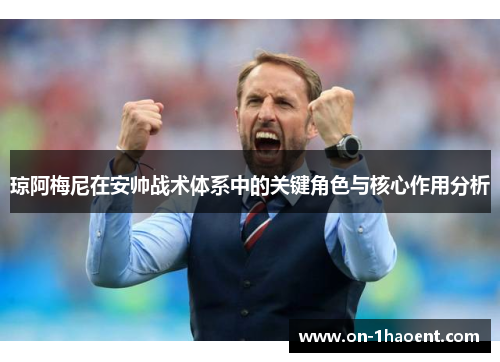 琼阿梅尼在安帅战术体系中的关键角色与核心作用分析