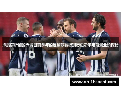 深度解析加的夫城目前参与的足球联赛级别历史沿革与背景全貌探秘